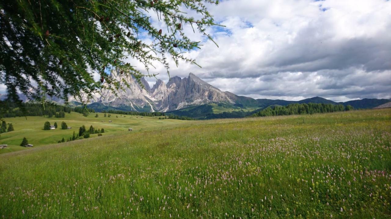 Villa Rier Alpe di Alpe di Siusi Extérieur photo