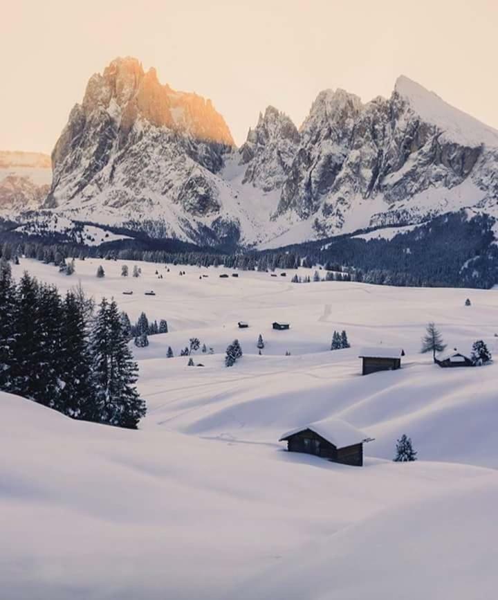 Villa Rier Alpe di Alpe di Siusi Extérieur photo